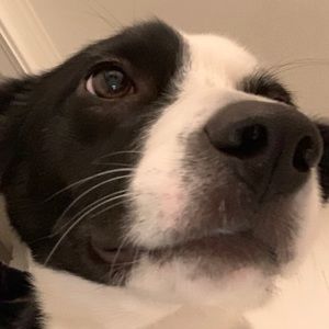 Meet your Posher, Ian